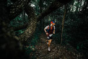 BIB: 
                            <button type="button" onclick="openModal(25682901)" class="btn btn-primary btn-sm float-right btn-popup" data-toggle="modal" data-target=".modal-high-quality">
                        <i class="fas fa-shopping-cart"></i> Add to Cart
                    </button>
                                            <button type="button" onclick="isThisMe(25682901, true)" class="btn btn-success btn-sm float-right btn-popup btn-isme hidden" data-toggle="tooltip" data-placement="bottom" title="นี่คือรูปของคุณใช่ไหม คลิกที่นี่เพื่อเอาเข้าอัลบั้ม">
                        <i class="fas fa-plus"></i> Add to album
                    </button>
                    <button type="button" onclick="isThisMe(25682901, false)" class="btn btn-warning btn-sm float-right btn-popup btn-isnotme hidden">
                        <i class="fas fa-ban"></i> Remove from album
                    </button>